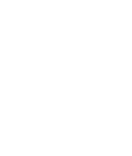 Logo White